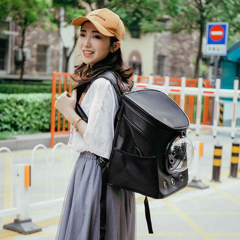 Pet Backpack
